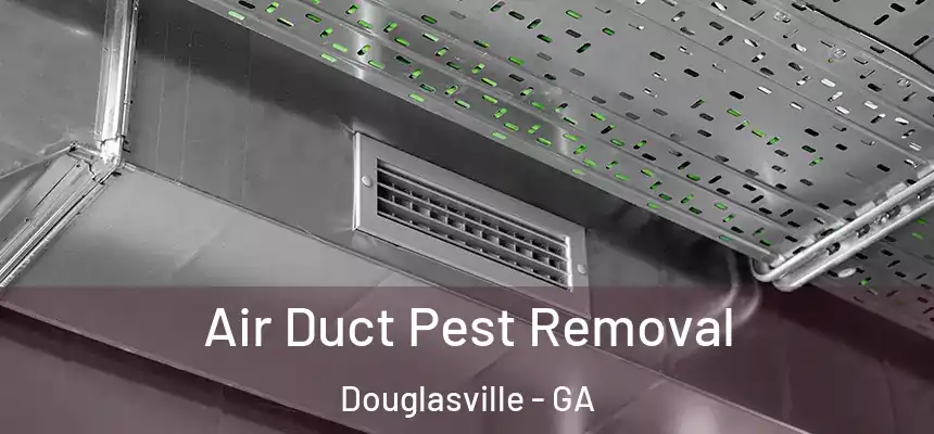  Air Duct Pest Removal Douglasville - GA