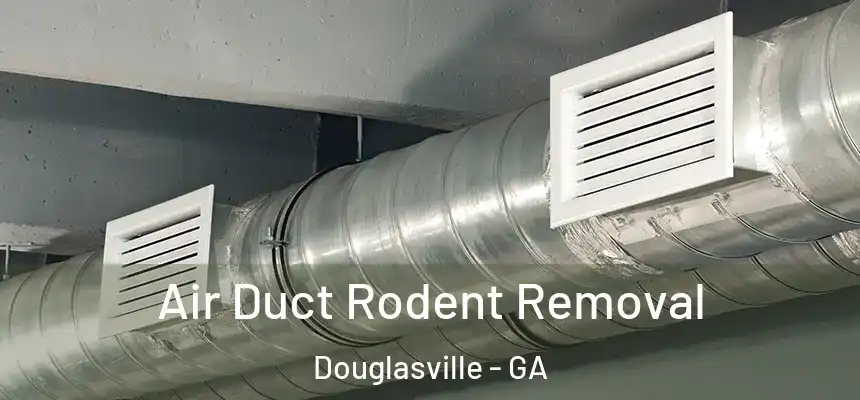  Air Duct Rodent Removal Douglasville - GA