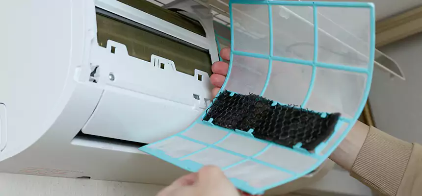 Gentle Ductwork Odor-Control Pet Dander Duct Cleaning in Douglasville, GA