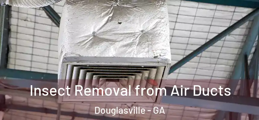  Insect Removal from Air Ducts Douglasville - GA