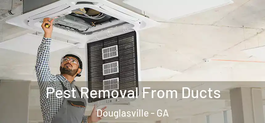  Pest Removal From Ducts Douglasville - GA