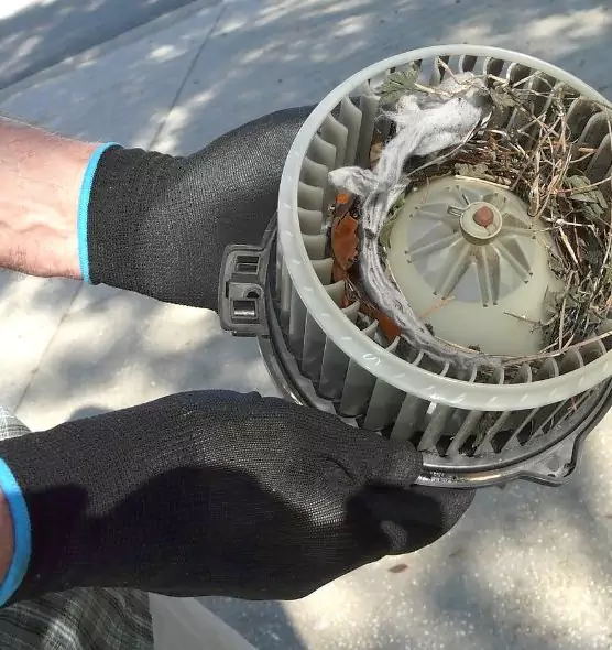 About Air Duct Mice Removal in Douglasville, GA