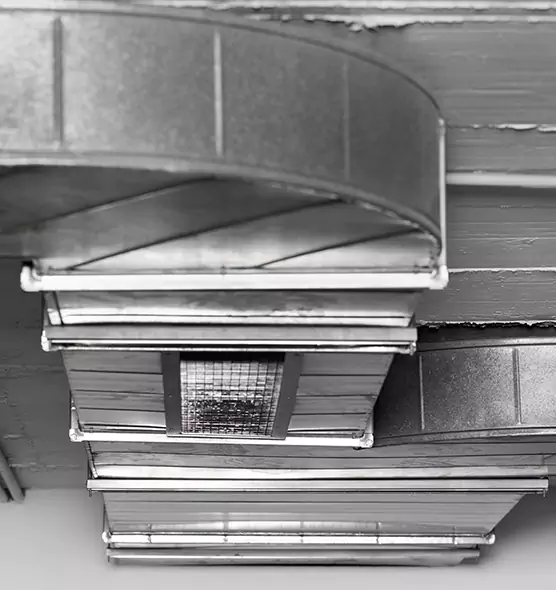 Professional Air Duct Pest Removal in Douglasville, GA