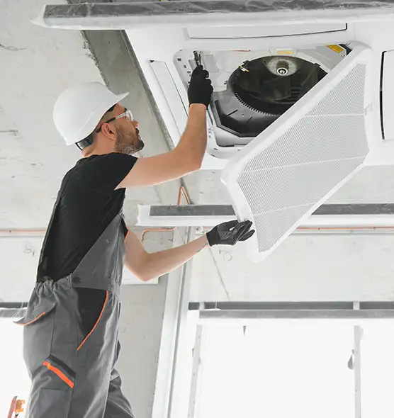 About Air Duct Rodent Removal in Douglasville, GA