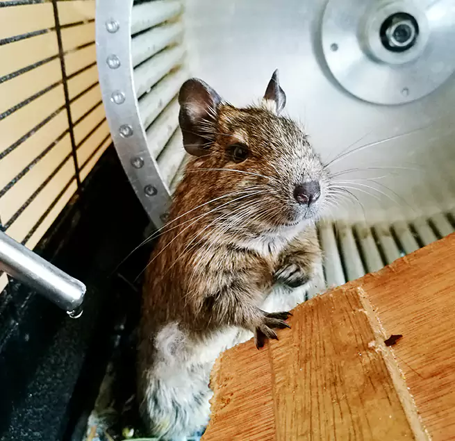 Why Homeowners & Businesses Trust Us Douglasville, GA