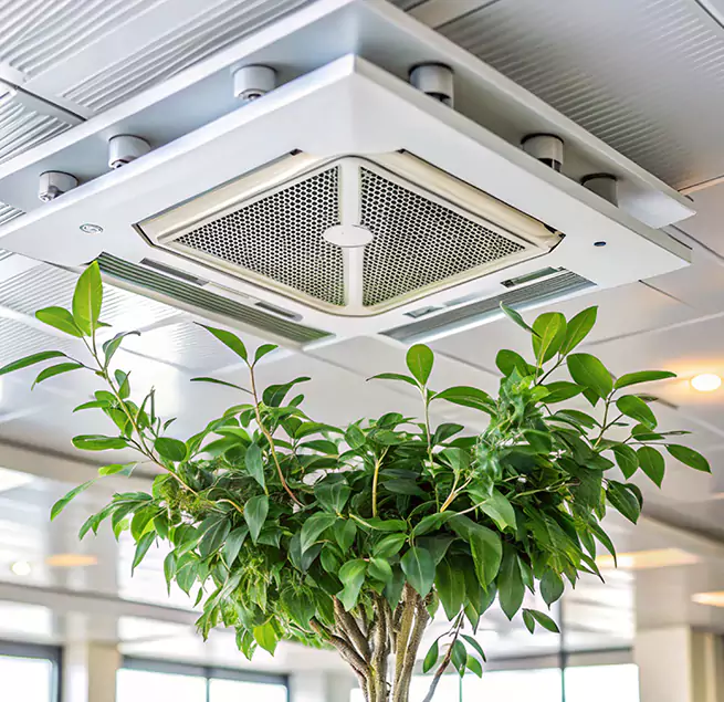 Why Homeowners & Businesses Trust Us in Douglasville, GA