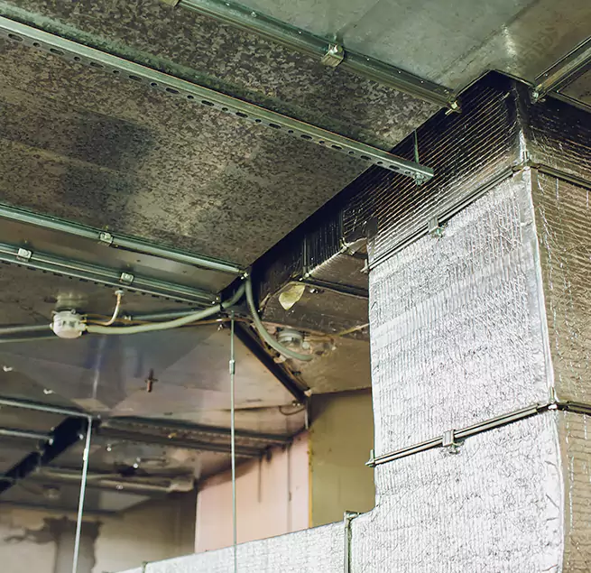 Why Homeowners & Businesses Trust Us in Douglasville, GA?